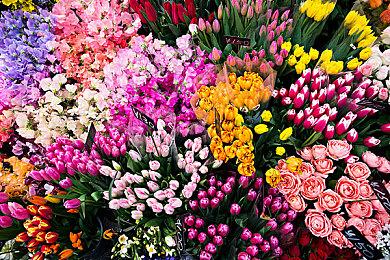 来自《异度神剑3》监督高桥哲哉的一封信 游戏9月发售