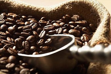 《行尸走肉：背叛》9月15日EA发售 首周免费畅玩